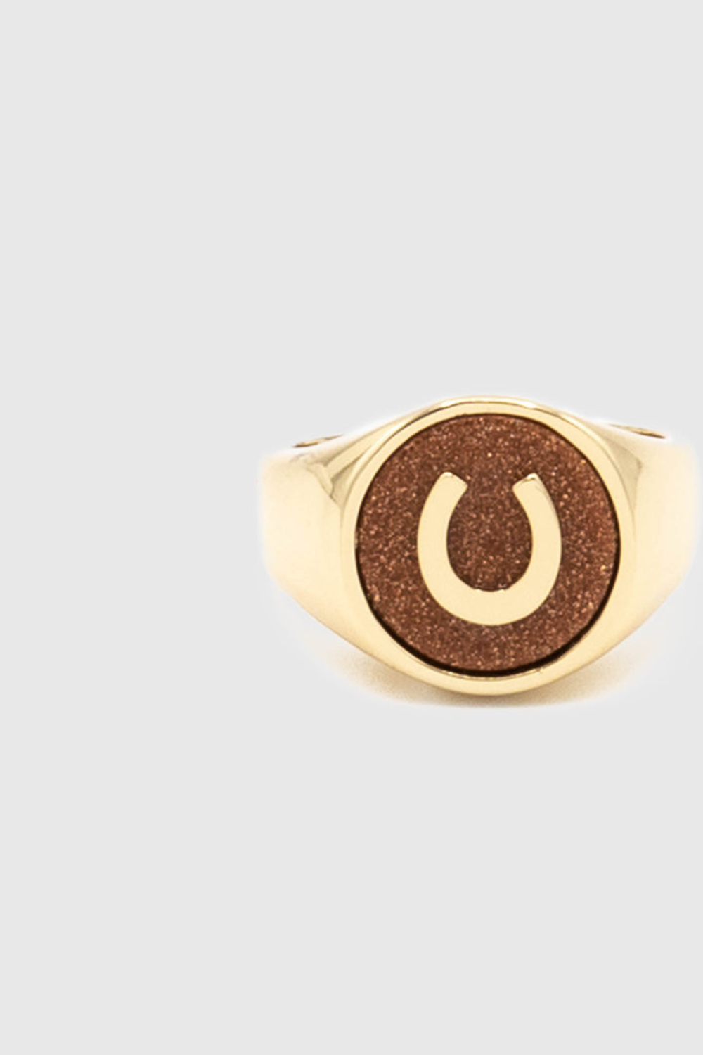 Semi Charm Signet Ring